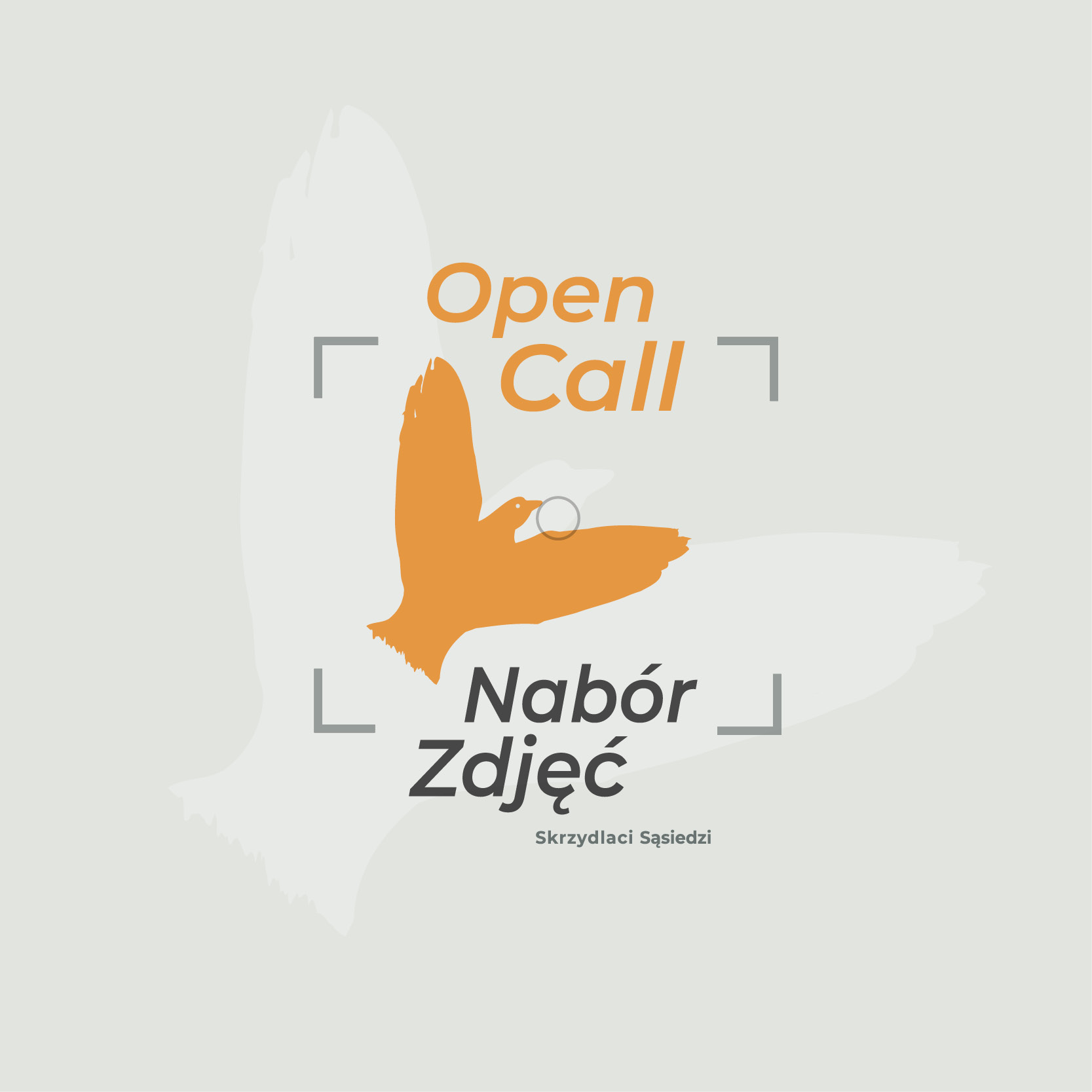 do 4 listopada / Open Call / Otwarty nabór zdjęć do projektu Skrzydlaci Sąsiedzi