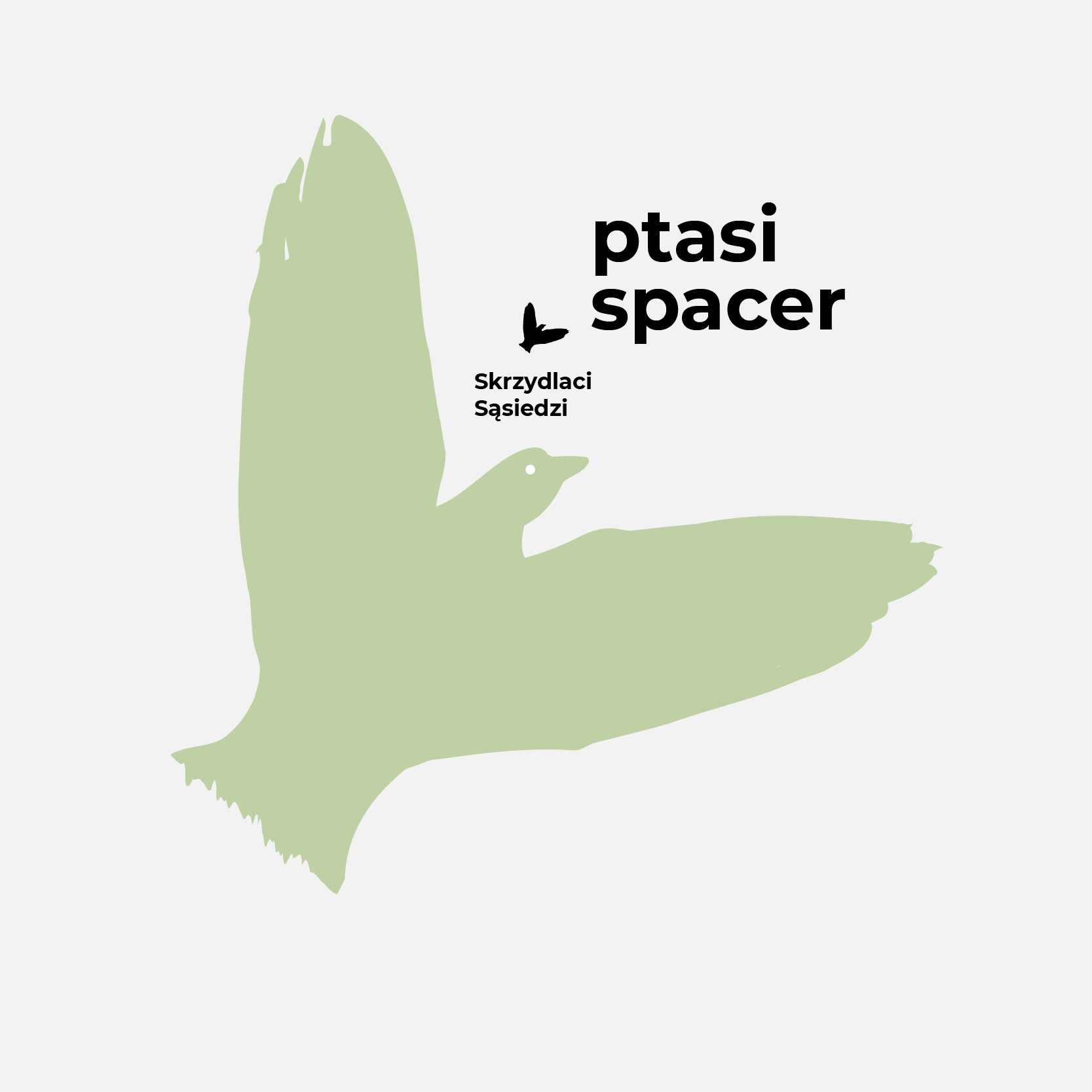 8/11, godz.10:00 I Ptasi Spacer - Skrzydlaci Sąsiedzi.