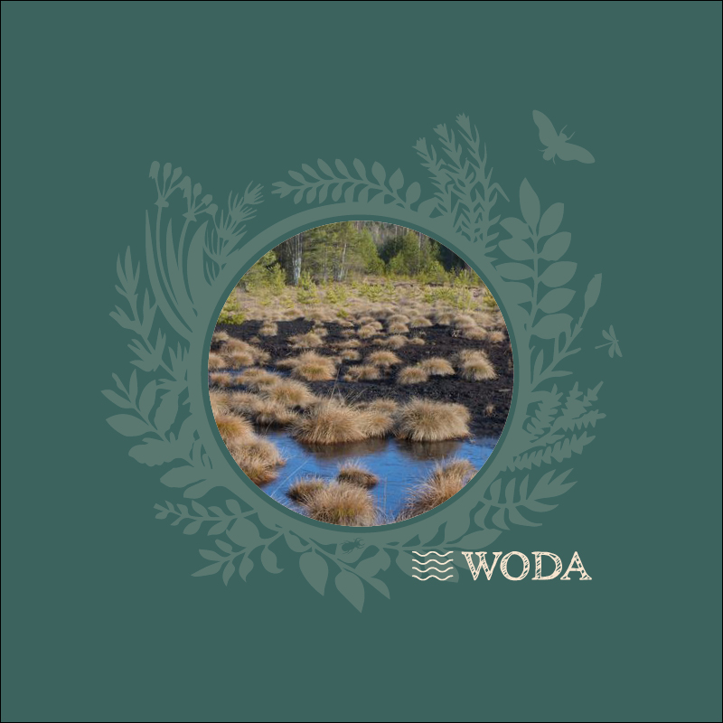 Debata “Chrońmy wodę chroniąc mokradła” / 02/02, godz. 13:30