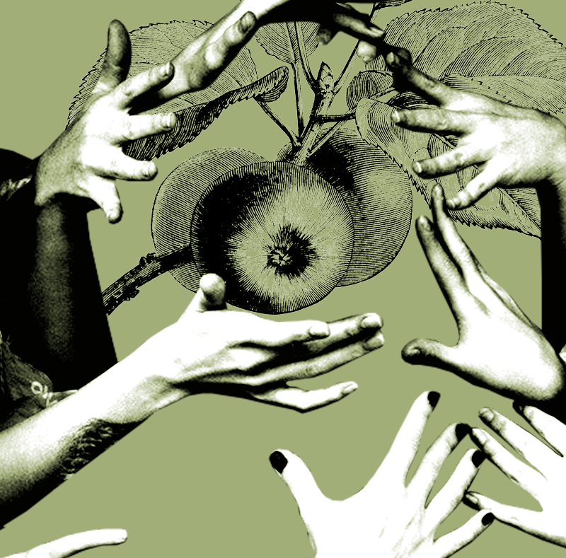Plakat promujący Zielony Wolontariat - roślinka w ludzkiej dłoni