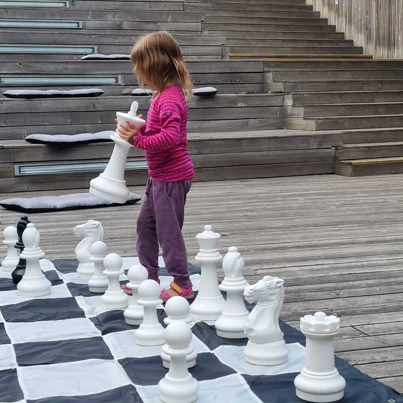 Na zdjęciu: drewniane szachy na planszy.
