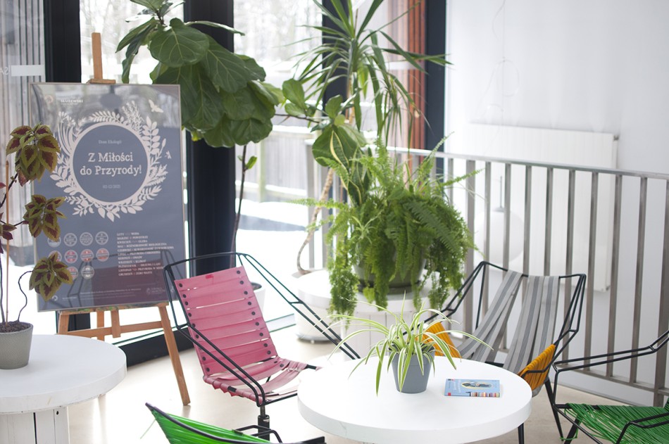 Zdjęcie przedstawia Salonik Litercki SDK - jasna, biała, przestronna przestrzeń ze stołem, fotelami i roślinami