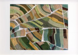 Obraz „Zielone pola” to przedstawienie pól z lotu ptaka. Utrzymany w tonacji zróznicowanych zieleni i ugrów. Uprawne poletka pocięte sa liniami miedz i dróg polnych.