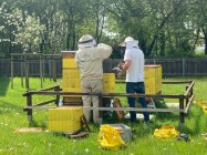 Zdjęcie: pszczelarze w uniformach przy pracy w pasiece SDK. Fot. Marta Sieradz