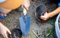Na zdjęciu: zbliżenie dziecięcych dłoni w trakcie sadzenia nasion do doniczek. Fot. SDK