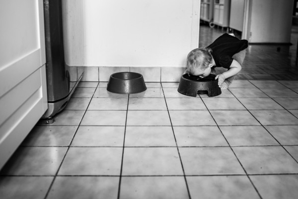 Na kuchennej podłodze stoją dwie czarne psie miski. Nad jedną z nich pochyla się małe dziecko i pije z niej wodę. Fot. Agnieszka Mocarska