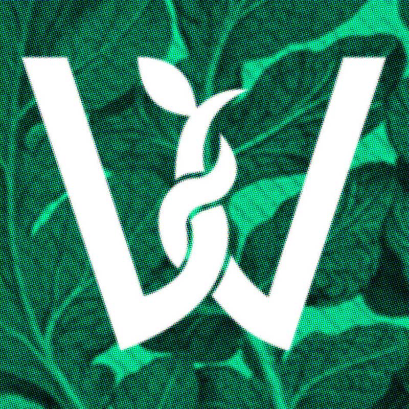 Grafika przedstawia logo Wspólnego Ogrodu, w postaci białej, stylizowanej litery 