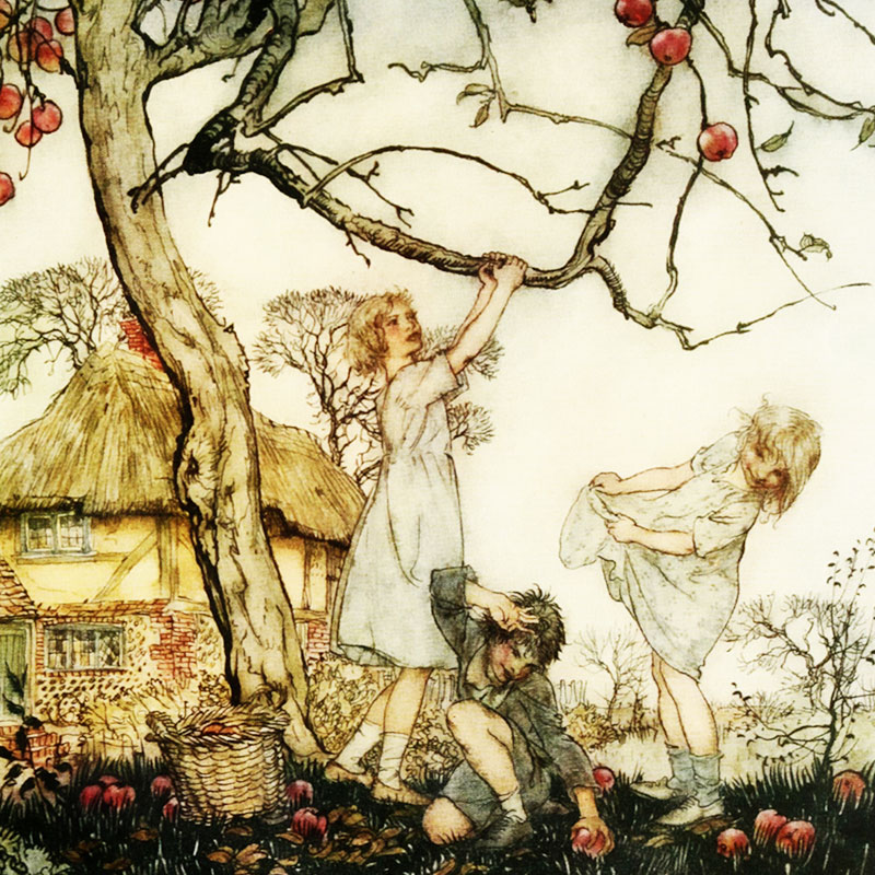 Dzieci zbierające jabłka. Il. Arthur Rackham / domena publiczna
