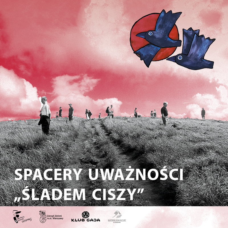 Spacer uważności: Śladem ciszy 