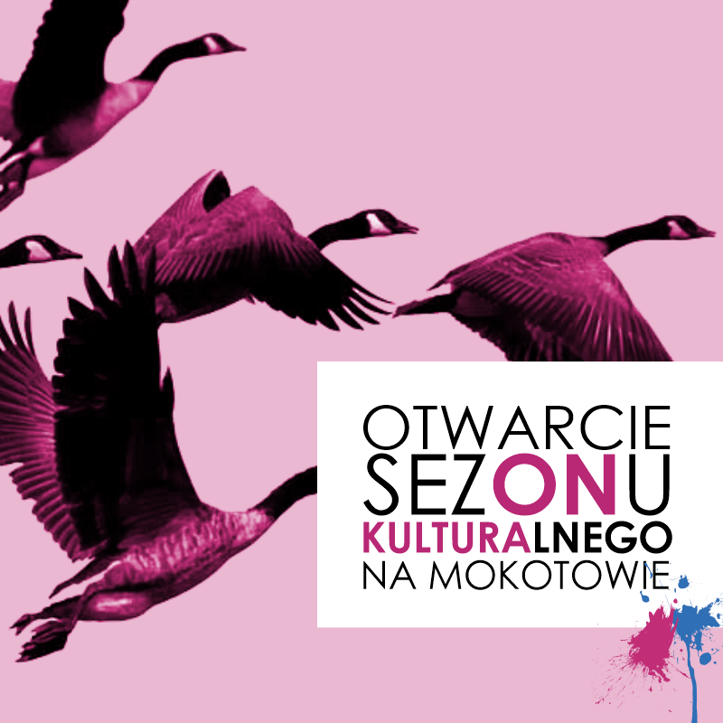 Ptasie spacery #8: Migracje a zmiany klimatu