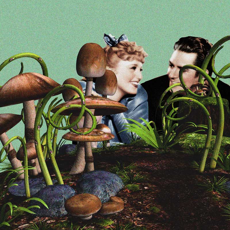Ilustracja w stylu retro:  pole grzybów i roślin, za nimi kobieta i mężczyzna wpatrzenie w siebie.