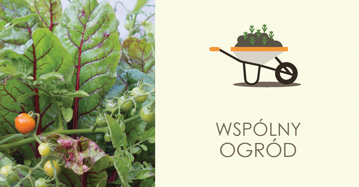 Wspólny Ogród Zimowy | Wspólny ogród SDK 