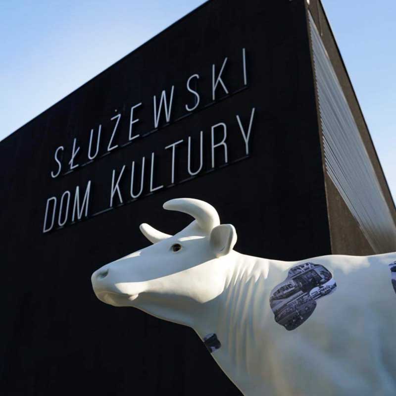 Spotkaj Osiedlową Krowę! / w ramach projektu Osiedlowa Krowa - (służew)ieckie historie