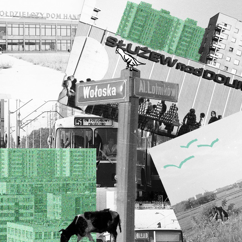 Żywe Archiwa / warsztaty animacji poklatkowej dla dorosłych / w ramach projektu Osiedlowa Krowa - (służew)ieckie historie